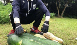 童锦程的吃瓜爆料,娱乐圈幕后真相大揭秘